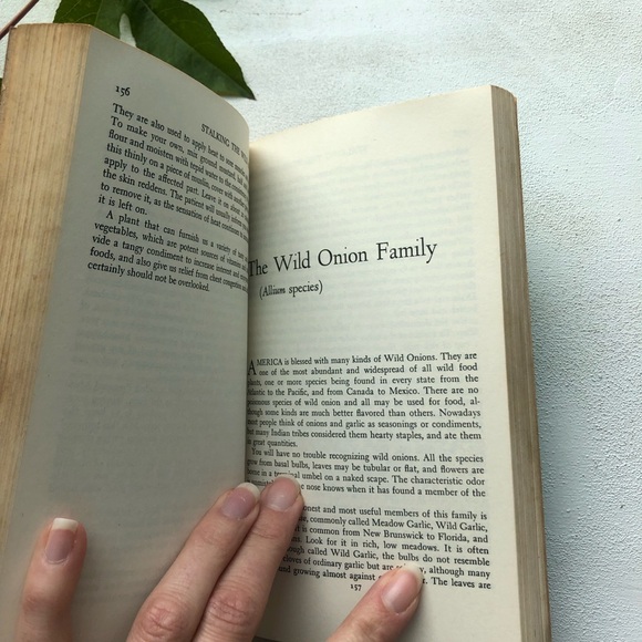 Stalking The Wild Asparagus: Field Guide Edition, by Euell Gibbons, 1970 reprint - Picture 10 of 17